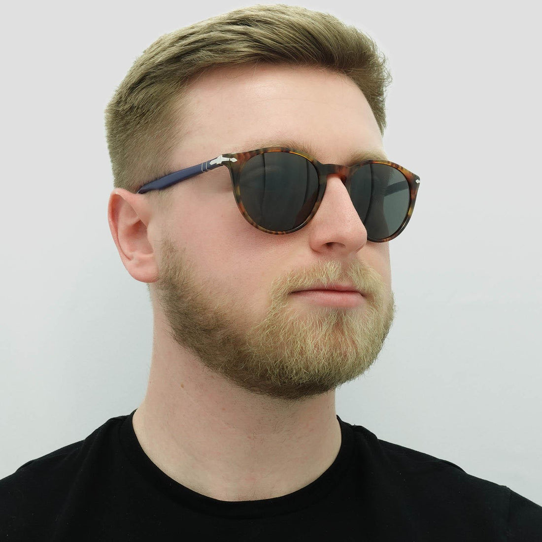 Persol Sunglasses PO3152S 1134B1 Dark Havana Dark Grey