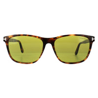 Tom Ford Sunglasses 0629 Nicolo 55N Havana Green
