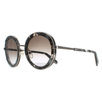Salvatore Ferragamo SF164S Sunglasses