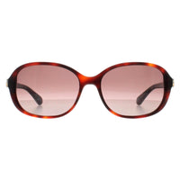 Kate Spade Sunglasses Izabella/G/S 086 HA Shiny Dark Havana Brown Gradient