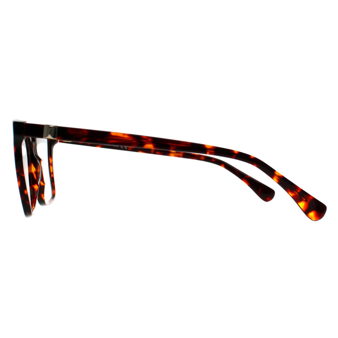 Max Mara Glasses Frames MM5022 054 Amber Tortoise Women