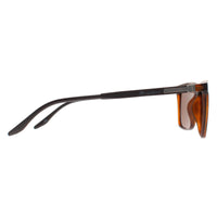 Montana Sunglasses MP186 C Turtle Brown Polarized