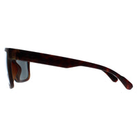 Bolle Sunglasses Frank BS006001 Matte Tortoise TNS Grey