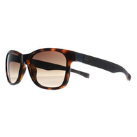 Lacoste Sunglasses L662S 214 Havana Brown Gradient