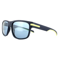 Polaroid PLD 2066/S Sunglasses