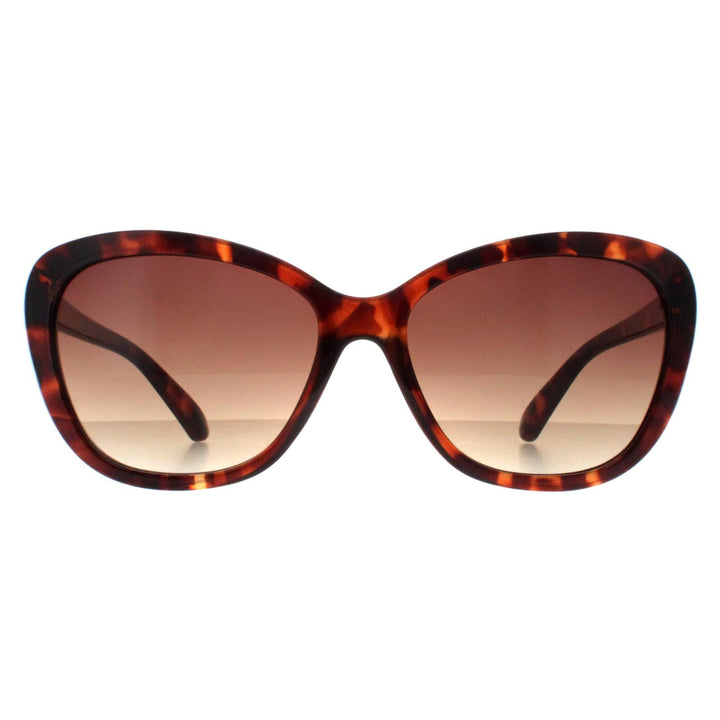 Smarty Sunglasses SB220 0B Demi Brown Tortoise Brown