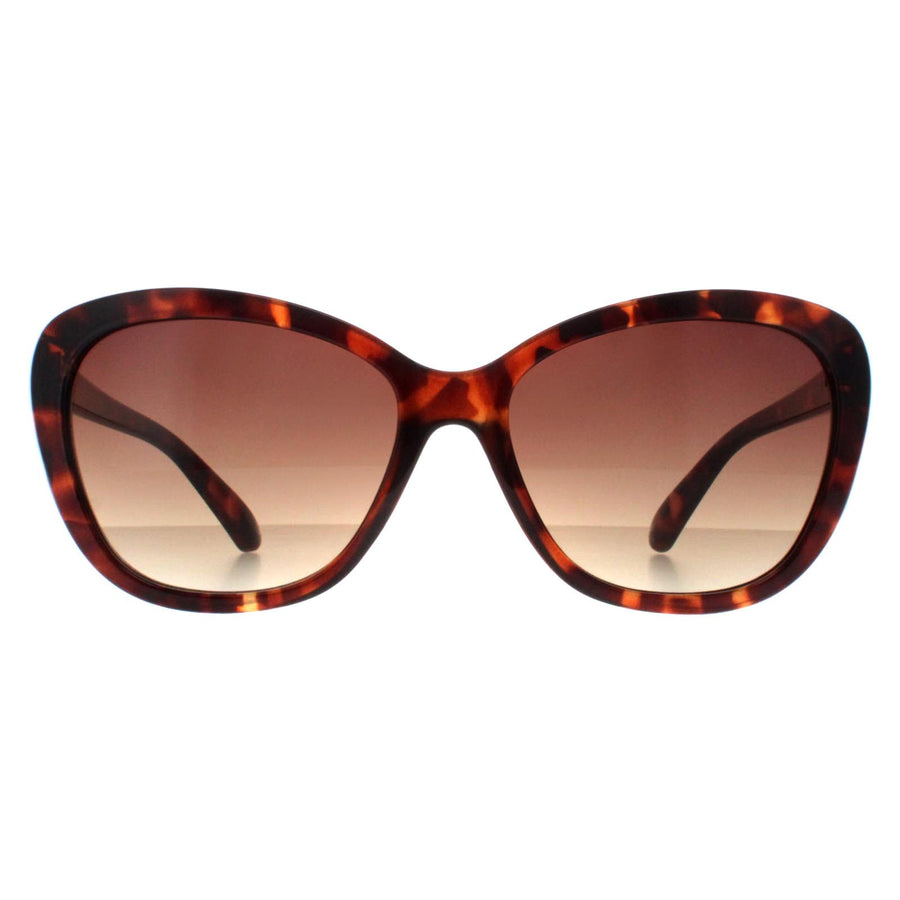 Smarty Sunglasses SB220 0B Demi Brown Tortoise Brown