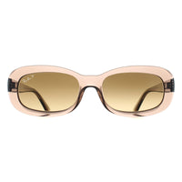 Ray-Ban Sunglasses RB2221 6827M2 Transparent Beige Brown Gradient Polarized