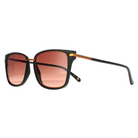Ted Baker Sunglasses TB1620 Mata 001 Black Brown Gradient