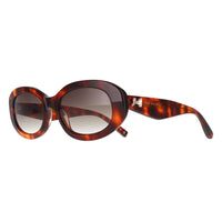 Ted Baker Sunglasses TB1758 Daisie 100 Gloss Classic Tortoise Brown Gradient