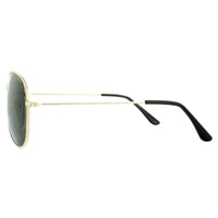 Polaroid 04214 Sunglasses