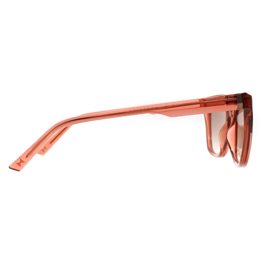 Ted Baker Sunglasses TB1639 Tanner 220 Transparent Candy Cane Red Brown Grey Gradient