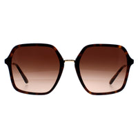 Dolce & Gabbana Sunglasses DG4422 502/13 Havana Brown Gradient
