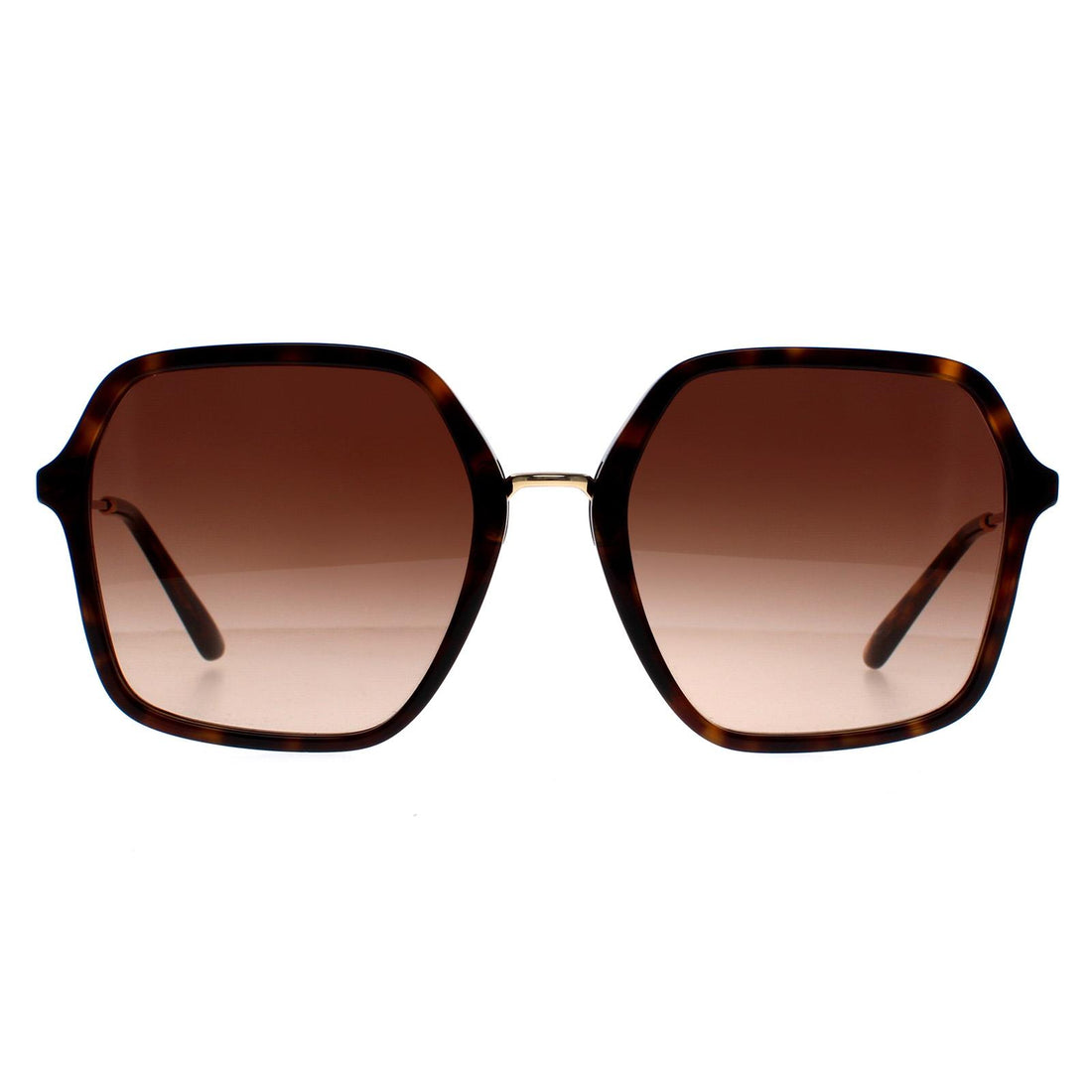 Dolce & Gabbana DG4422 Sunglasses Havana / Brown Gradient