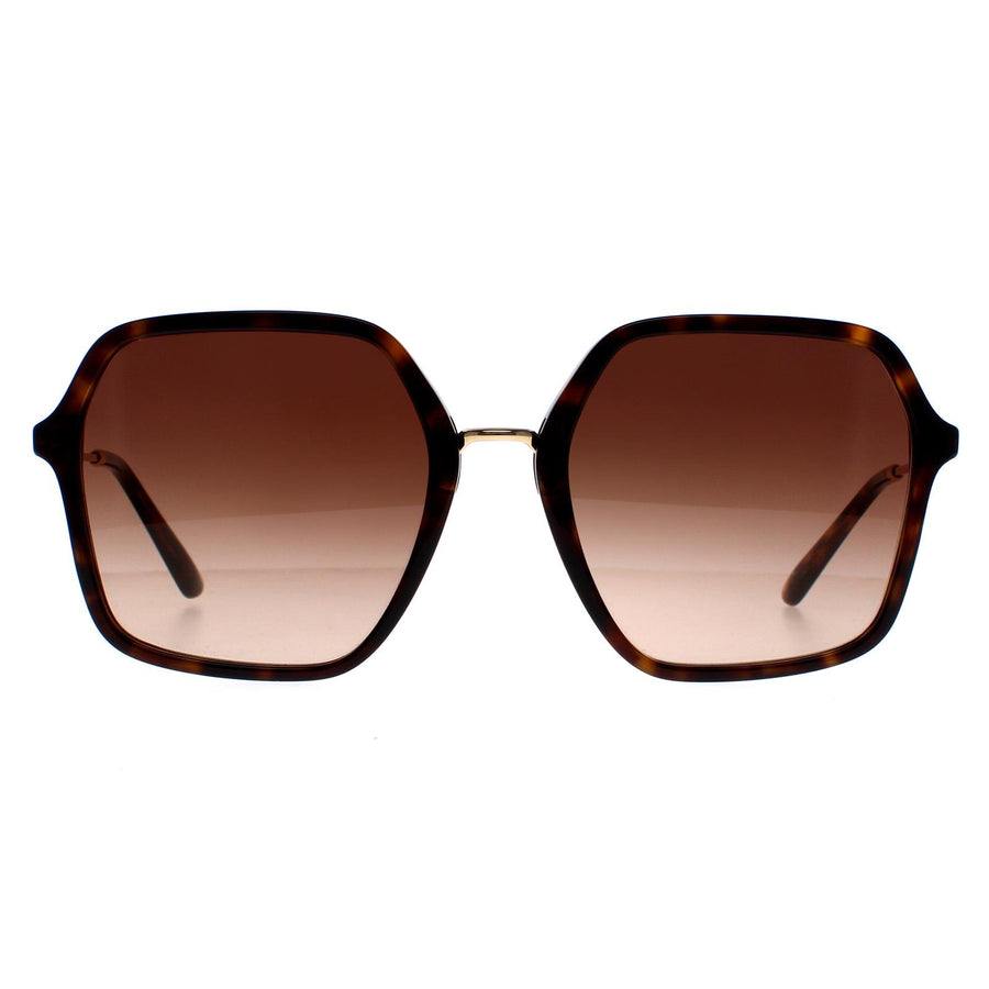 Dolce & Gabbana Sunglasses DG4422 502/13 Havana Brown Gradient