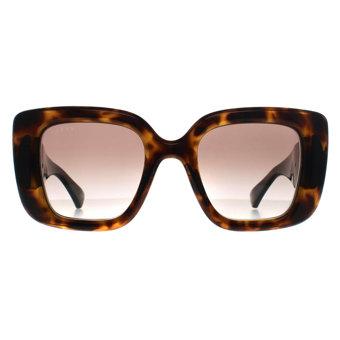 Gucci Sunglasses GG1975S 003 Havana Brown Gradient