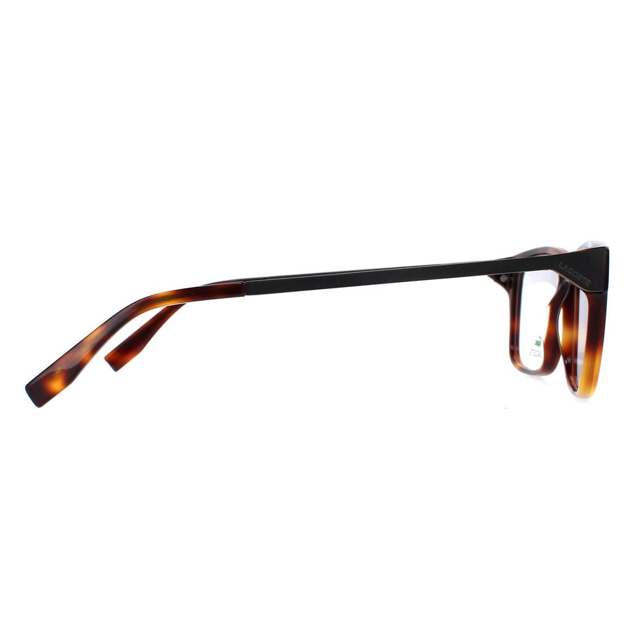 Lacoste Glasses Frames L2867 214 Havana Men