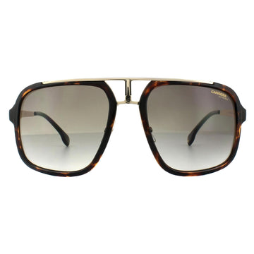 Carrera 1004/S Sunglasses Havana Gold / Brown Gradient