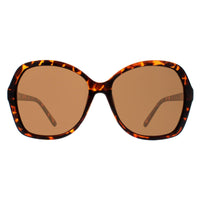 Atum Sunglasses Aelius C2 Shiny Havana Brown Gradient