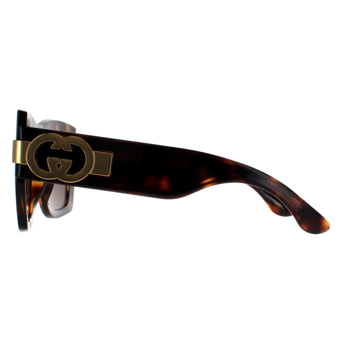 Gucci Sunglasses GG1688S 002 Dark Havana with Gold Brown