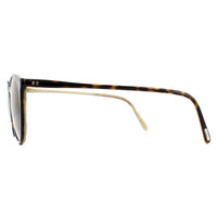 Oliver Peoples Sunglasses O'Malley 5183S 166653 Horn Brown