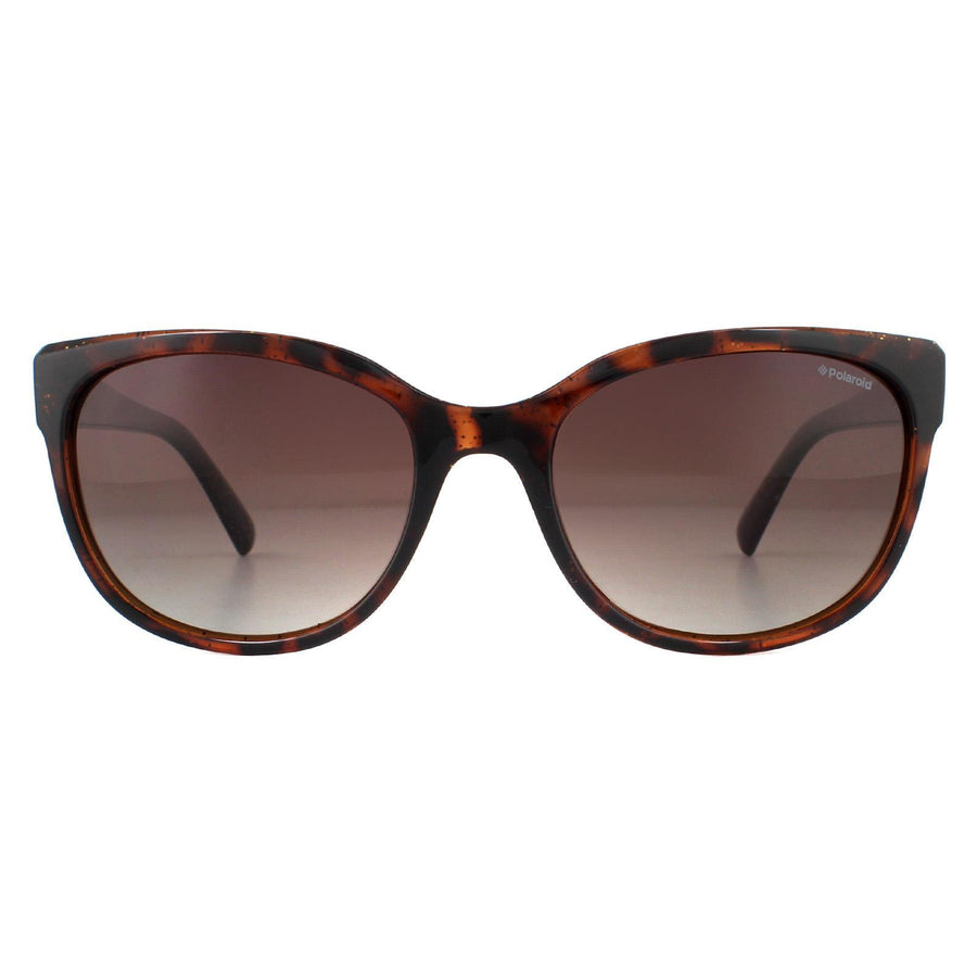 Polaroid PLD 4030/S Sunglasses Dark Havana Glitter / Brown Gradient Polarized