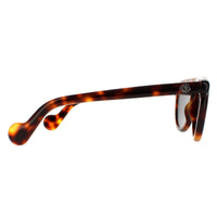 Moncler Sunglasses ML0100 52A Dark Havana Grey