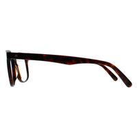 Rodenstock Glasses Frames R5302 B Dark Havana Men
