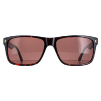 Duck and Cover DCS026 Sunglasses Havana / Brown