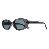 Ray-Ban Sunglasses RB4441D 677787 Transparent Grey Dark Grey