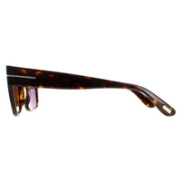 Tom Ford Sunglasses Dunning FT0907 52E Shiny Havana Brown