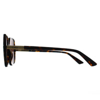 Chloe Sunglasses CH0362S 002 Dark Havana Brown