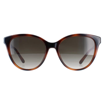 Salvatore Ferragamo SF1073S Sunglasses Tortoise / Grey Gradient