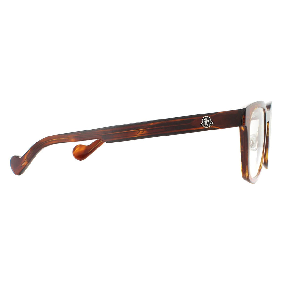 Moncler Glasses Frames ML5049 045 Havana Men