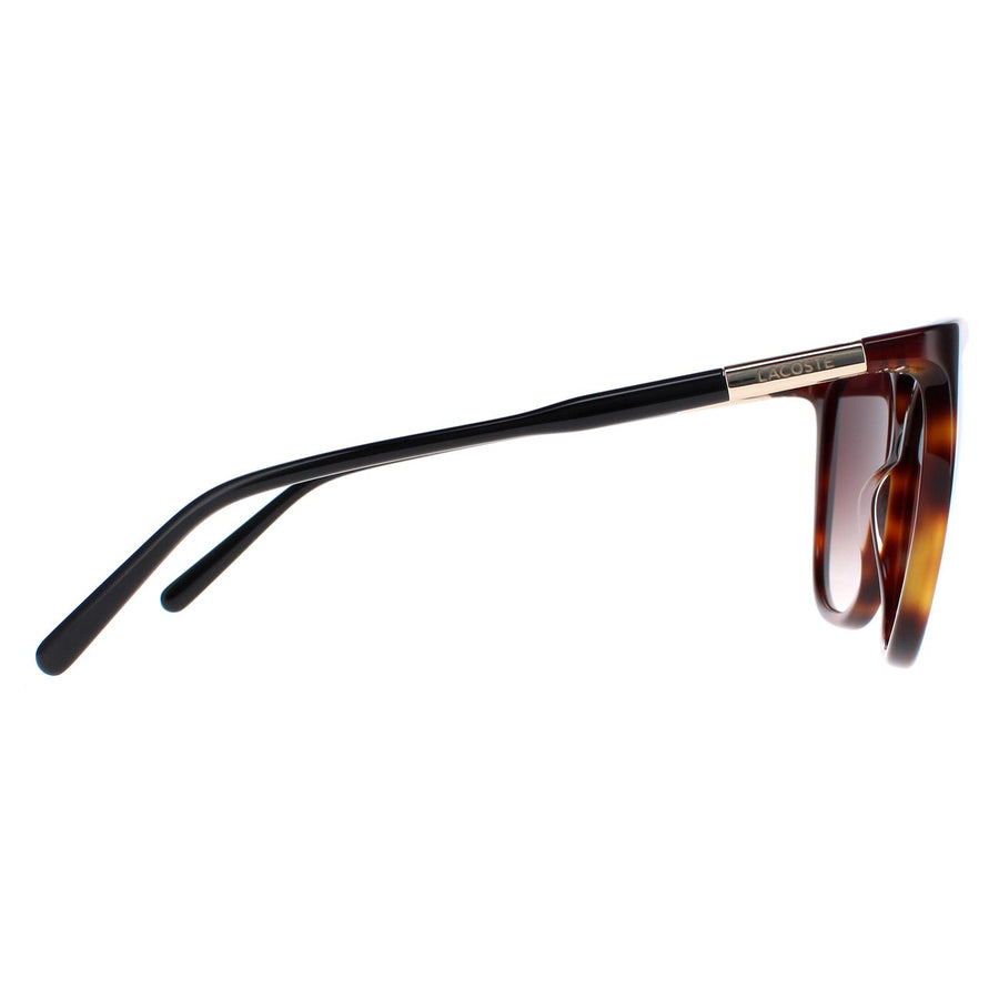 Lacoste Sunglasses L963S 230 Havana Brown Gradient