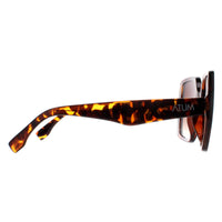 Atum Sunglasses Zouk C2 Shiny Havana Brown Gradient