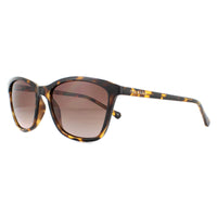Ted Baker Sunglasses TB1440 Tari 122 Havana Brown Gradient