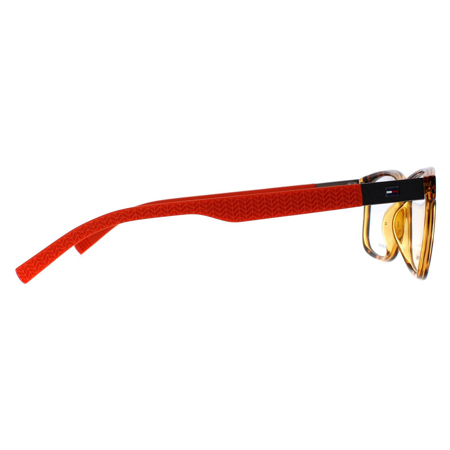 Tommy Hilfiger Glasses Frames TH1446 L9G Havana Orange Men