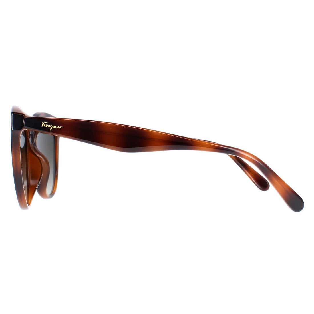 Salvatore Ferragamo Sunglasses SF1073S 240 Tortoise Grey Gradient
