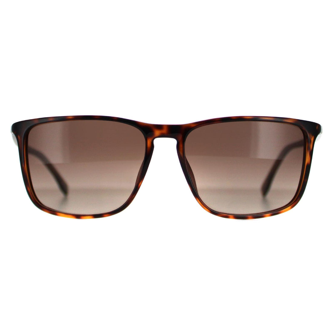 Boss Sunglasses 0665 DWJ HA Havana Brown Brown Gradient