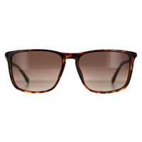Boss Sunglasses 0665 DWJ HA Havana Brown Brown Gradient