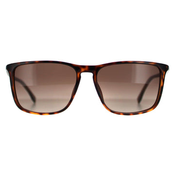 Boss Sunglasses 0665 DWJ HA Havana Brown Brown Gradient