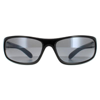 Bolle Anaconda Sunglasses Shiny Black / Polarized TNS