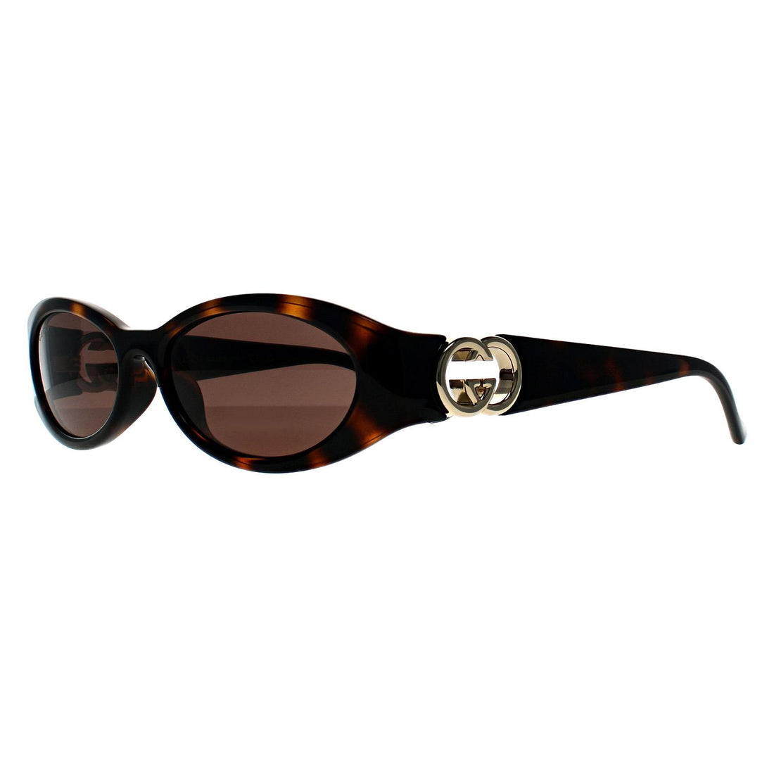 Gucci Sunglasses GG1660S 002 Shiny Dark Havana Dark Brown