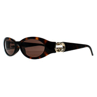 Gucci Sunglasses GG1660S 002 Shiny Dark Havana Dark Brown