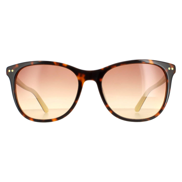 Calvin Klein Sunglasses CK18510S 241 Tortoise Yellow Brown Gradient