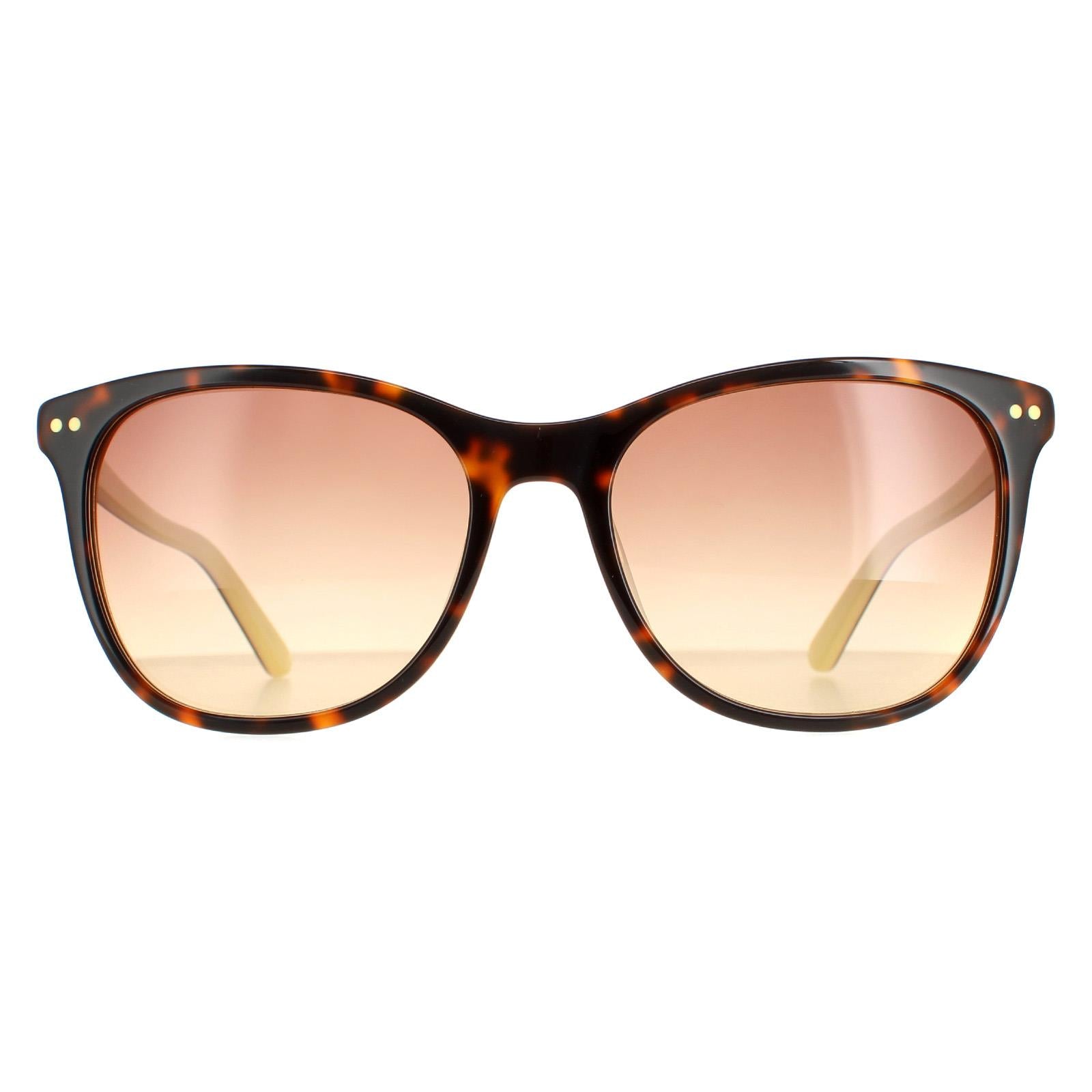 Sunglasses CK18510S 241 Tortoise Brown Gradient