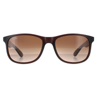 Ray-Ban Sunglasses Andy 4202 607313 Matt Brown Brown Gradient