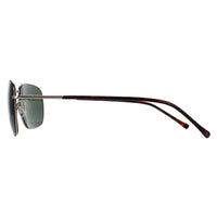 Smarty Sunglasses SB1302 A Gold Green
