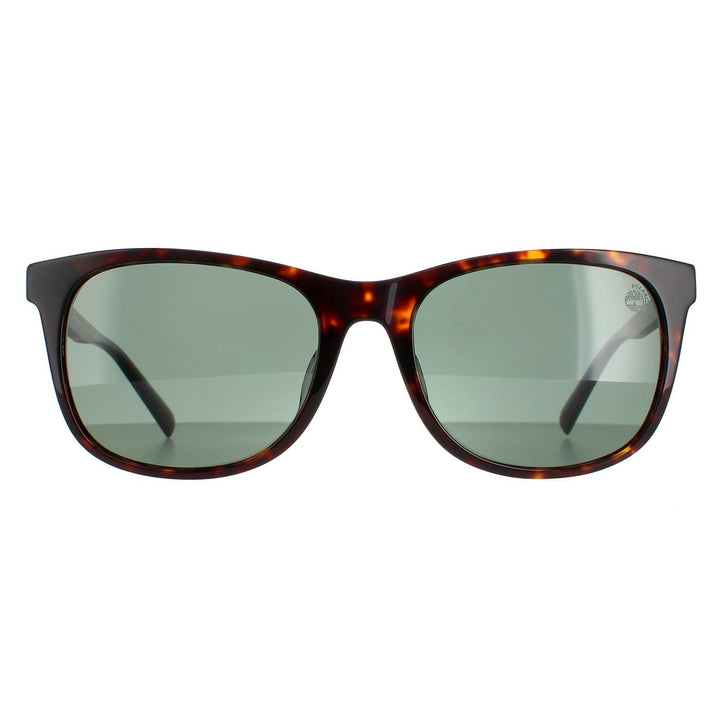 Timberland Sunglasses TB9248D 52R Dark Havana Green Polarized